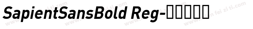 SapientSansBold Reg字体转换